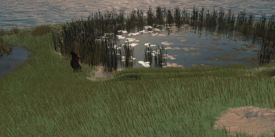 The walker in a pointed hat at the edge of a reed-ringed pond full of water lilies, the sea just beyond