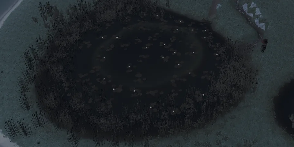 A pond seen from above at night, ringed with reeds, its lily pads dotted with small white flowers
